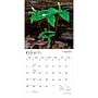 2027 BrownTrout Illinois Wild & Scenic 12" x 12" Monthly Wall Calendar (9798330710577)~#|#~sp320818598_sc7