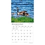 2027 BrownTrout Illinois Wild & Scenic 12" x 12" Monthly Wall Calendar (9798330710577)~#|#~sp320818599_sc7