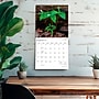 2027 BrownTrout Illinois Wild & Scenic 12" x 12" Monthly Wall Calendar (9798330710577)~#|#~sp320818600_sc7
