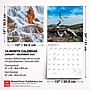 2027 BrownTrout Idaho Wild & Scenic 12" x 12" Monthly Wall Calendar (9798330710560)~#|#~sp320818633_sc7