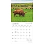 2027 BrownTrout Oklahoma Wild & Scenic 12" x 12" Monthly Wall Calendar (9798330710799)~#|#~sp320819459_sc7