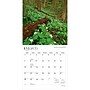 2027 BrownTrout Ohio Nature 12" x 12" Monthly Wall Calendar (9798330710782)~#|#~sp320819570_sc7