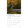 2027 BrownTrout Ohio Nature 12" x 12" Monthly Wall Calendar (9798330710782)~#|#~sp320819571_sc7