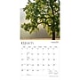 2027 BrownTrout North Carolina Wild & Scenic 12" x 12" Monthly Wall Calendar (9798330710775)~#|#~sp320819755_sc7
