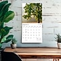 2027 BrownTrout North Carolina Wild & Scenic 12" x 12" Monthly Wall Calendar (9798330710775)~#|#~sp320819757_sc7