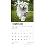 2027 BrownTrout Old English Sheepdogs 12" x 12" Monthly Wall Calendar (9798330714421)~#|#~sp320821324_sc7