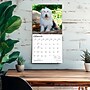 2027 BrownTrout Old English Sheepdogs 12" x 12" Monthly Wall Calendar (9798330714421)~#|#~sp320821327_sc7