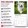 2027 BrownTrout Old English Sheepdogs 12" x 12" Monthly Wall Calendar (9798330714421)~#|#~sp320821348_sc7