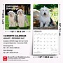 2027 BrownTrout Old English Sheepdogs 12" x 12" Monthly Wall Calendar (9798330714421)~#|#~sp320821349_sc7