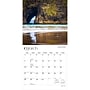 2027 BrownTrout Oregon Coast 12" x 12" Monthly Wall Calendar (9798330710812)~#|#~sp320822015_sc7