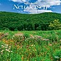 2027 BrownTrout New Jersey Wild & Scenic 12" x 12" Monthly Wall Calendar (9798330710744)~#|#~sp320823104_sc7