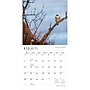 2027 BrownTrout New Jersey Wild & Scenic 12" x 12" Monthly Wall Calendar (9798330710744)~#|#~sp320823107_sc7
