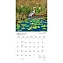 2027 BrownTrout National Parks 12" x 12" Monthly Wall Calendar (9798330710355)~#|#~sp320824006_sc7