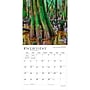 2027 BrownTrout National Parks 12" x 12" Monthly Wall Calendar (9798330710355)~#|#~sp320824007_sc7