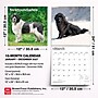 2027 BrownTrout Newfoundlands 12" x 12" Monthly Wall Calendar (9798330712588)~#|#~sp320824344_sc7