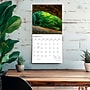2027 BrownTrout Kentucky Wild & Scenic 12" x 12" Monthly Wall Calendar (9798330710607)~#|#~sp320824489_sc7