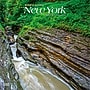 2027 BrownTrout New York Wild & Scenic 12" x 12" Monthly Wall Calendar (9798330710768)~#|#~sp320824593_sc7