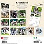 2027 BrownTrout Keeshonden 12" x 12" Monthly Wall Calendar (9798330714308)~#|#~sp320824831_sc7