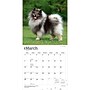 2027 BrownTrout Keeshonden 12" x 12" Monthly Wall Calendar (9798330714308)~#|#~sp320824840_sc7