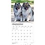 2027 BrownTrout Keeshonden 12" x 12" Monthly Wall Calendar (9798330714308)~#|#~sp320824847_sc7