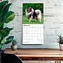 2027 BrownTrout Keeshonden 12" x 12" Monthly Wall Calendar (9798330714308)~#|#~sp320824848_sc7