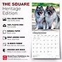 2027 BrownTrout Keeshonden 12" x 12" Monthly Wall Calendar (9798330714308)~#|#~sp320824849_sc7