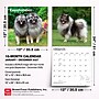 2027 BrownTrout Keeshonden 12" x 12" Monthly Wall Calendar (9798330714308)~#|#~sp320824850_sc7