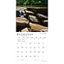 2027 BrownTrout Kansas Wild & Scenic 12" x 12" Monthly Wall Calendar (9798330714292)~#|#~sp320825985_sc7