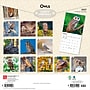 2027 BrownTrout Owls 12" x 12" Monthly Wall Calendar (9798330712090)~#|#~sp320829085_sc7