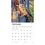 2027 BrownTrout Owls 12" x 12" Monthly Wall Calendar (9798330712090)~#|#~sp320829095_sc7