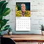 2027 BrownTrout Owls 12" x 12" Monthly Wall Calendar (9798330712090)~#|#~sp320829096_sc7