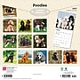 2027 BrownTrout Poodles 12" x 12" Monthly Wall Calendar (9798330712595)~#|#~sp320830269_sc7