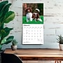 2027 BrownTrout Poodles 12" x 12" Monthly Wall Calendar (9798330712595)~#|#~sp320830273_sc7
