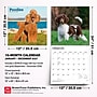 2027 BrownTrout Poodles 12" x 12" Monthly Wall Calendar (9798330712595)~#|#~sp320830279_sc7