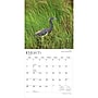 2027 BrownTrout Louisiana Wild & Scenic 12" x 12" Monthly Wall Calendar (9798330710638)~#|#~sp320830490_sc7