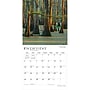 2027 BrownTrout Louisiana Wild & Scenic 12" x 12" Monthly Wall Calendar (9798330710638)~#|#~sp320830491_sc7