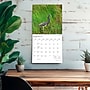 2027 BrownTrout Louisiana Wild & Scenic 12" x 12" Monthly Wall Calendar (9798330710638)~#|#~sp320830516_sc7