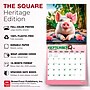 2027 BrownTrout Pigsty 12" x 12" Monthly Wall Calendar (9798330711451)~#|#~sp320830736_sc7
