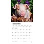 2027 BrownTrout Piglets 12" x 12" Monthly Wall Calendar (9798330711932)~#|#~sp320830939_sc7
