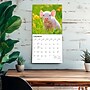 2027 BrownTrout Piglets 12" x 12" Monthly Wall Calendar (9798330711932)~#|#~sp320830940_sc7