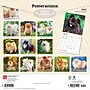 2027 BrownTrout Pomeranians 12" x 12" Monthly Wall Calendar (9798330714445)~#|#~sp320831080_sc7