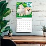 2027 BrownTrout Pomeranians 12" x 12" Monthly Wall Calendar (9798330714445)~#|#~sp320831108_sc7