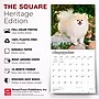 2027 BrownTrout Pomeranians 12" x 12" Monthly Wall Calendar (9798330714445)~#|#~sp320831111_sc7