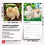 2027 BrownTrout Pomeranians 12" x 12" Monthly Wall Calendar (9798330714445)~#|#~sp320831113_sc7