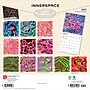 2027 BrownTrout Microscopic World of Innerspace 12" x 12" Monthly Wall Calendar (9798330714261)~#|#~sp320832777_sc7