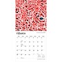 2027 BrownTrout Microscopic World of Innerspace 12" x 12" Monthly Wall Calendar (9798330714261)~#|#~sp320832779_sc7