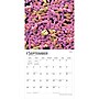 2027 BrownTrout Microscopic World of Innerspace 12" x 12" Monthly Wall Calendar (9798330714261)~#|#~sp320832780_sc7