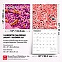 2027 BrownTrout Microscopic World of Innerspace 12" x 12" Monthly Wall Calendar (9798330714261)~#|#~sp320832809_sc7