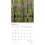 2027 BrownTrout Michigan Nature 12" x 12" Monthly Wall Calendar (9798330714377)~#|#~sp320833701_sc7