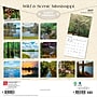 2027 BrownTrout Mississippi Wild & Scenic 12" x 12" Monthly Wall Calendar (9798330710690)~#|#~sp320834221_sc7